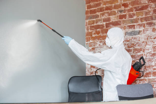 Mold Odor Removal Services in Sprague, WV