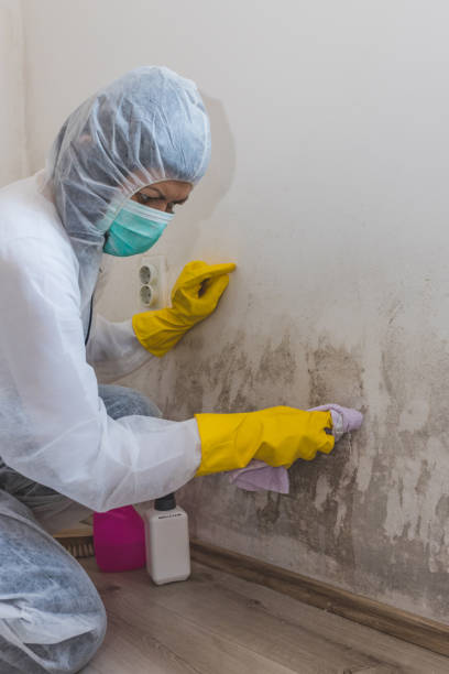 Dehumidification Services in Sprague, WV