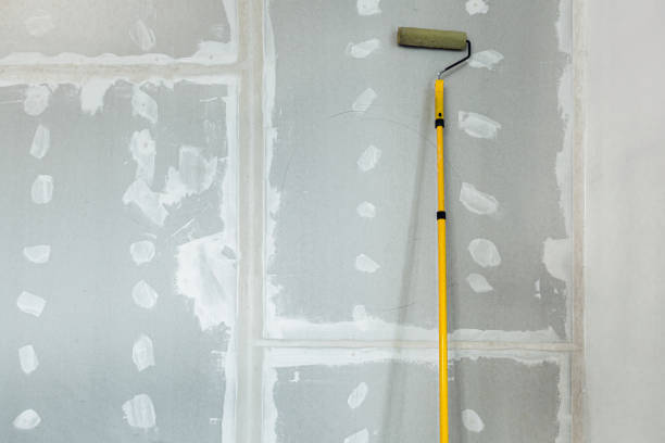 Best Emergency Mold Remediation  in Sprague, WV