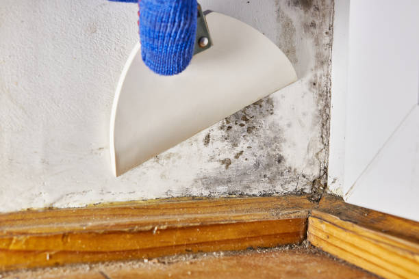 Best Indoor Air Quality Assessment  in Sprague, WV