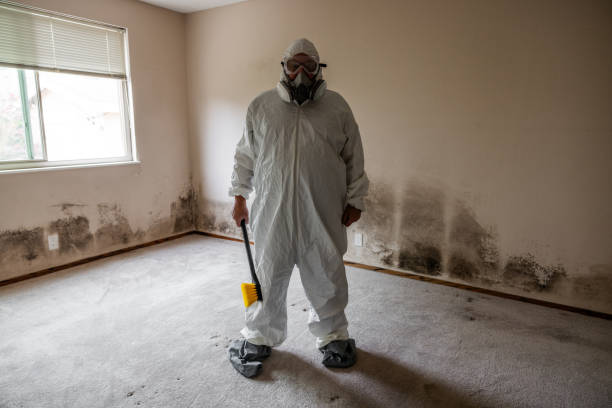Mold Remediation for Rental Properties in Sprague, WV